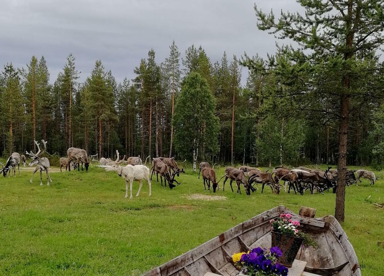 Vuotson Maja B&B Kültér fotó